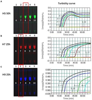 Simultaneous differential detection of H5, H7 and H9 subtypes of avian influenza viruses by a triplex fluorescence loop-mediated isothermal amplification assay